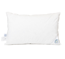 Guanciali in piuma d